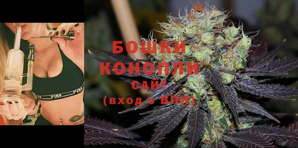 сатива Горняк