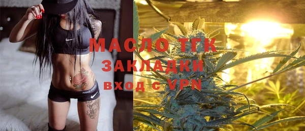 прущая мука Вяземский