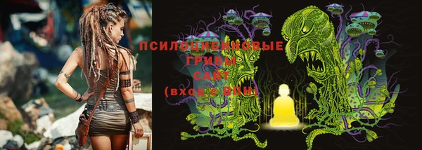 таблы Заречный