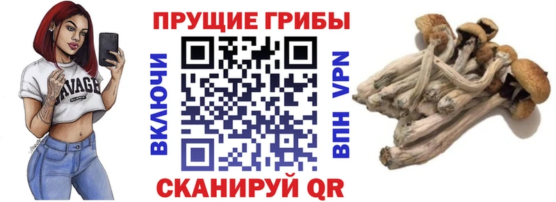 Галлюциногенные грибы Magic Shrooms  Горно-Алтайск 
